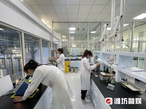 搶風口 布賽道 濰坊諸城以技術開發為核心，加速生物制造產業發展